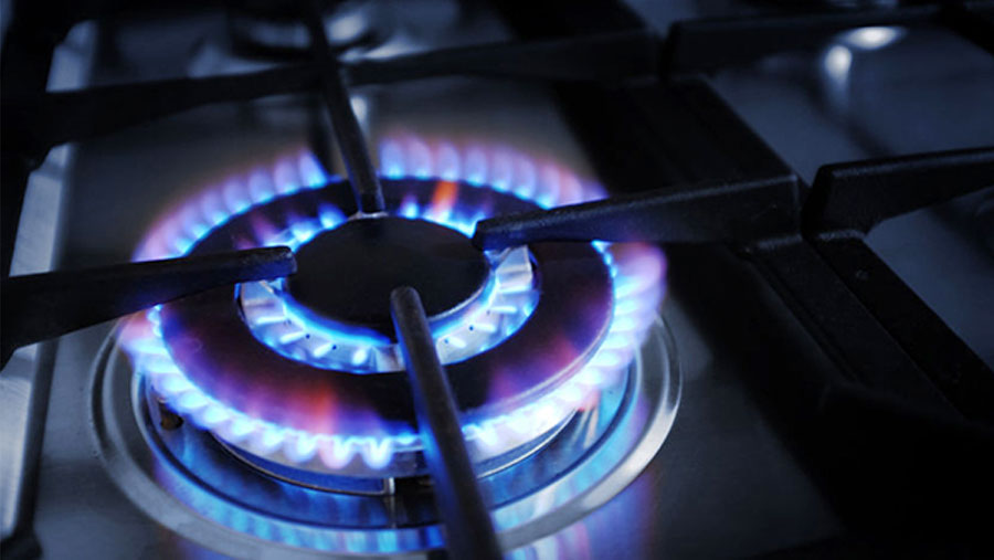 BERC decides not to hike gas price