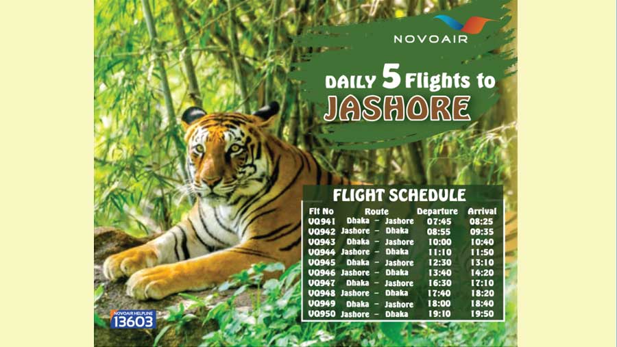 NOVOAIR increases flights in domestic routes