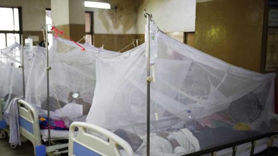 Fresh dengue cases come down: LGRD Minister