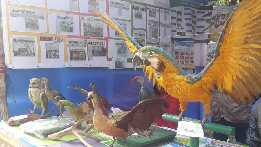 Bird fair 2020 held at JU