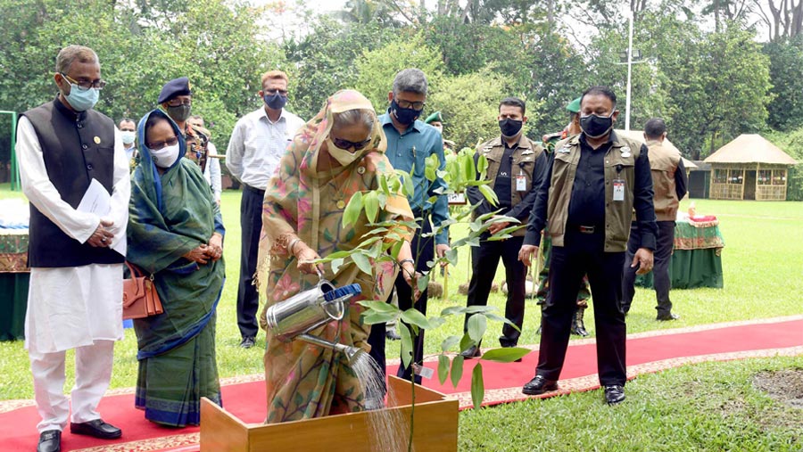 Plant more trees, take care those to reap benefit: PM