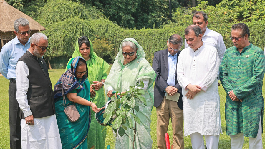 Plant trees to protect Bangladesh from climate change: PM