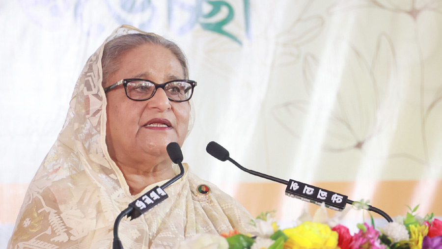 Awami League will always remain beside Hindu community: PM