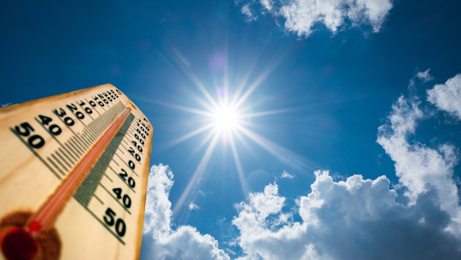 Mild to moderate heat wave sweeps over country