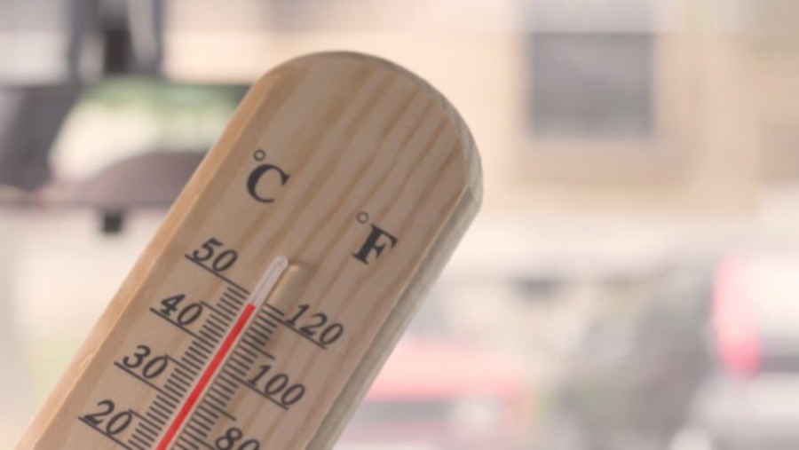 New Delhi records highest-ever temperature at 49.9 Celsius